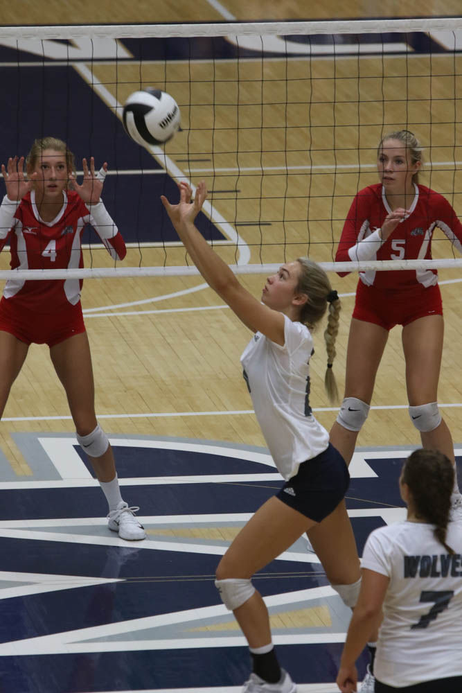 Gallery: Girls volleyball - Crown Point at Michigan City